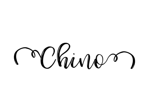 Chino Lettering: Monochrome Graphics for Print Templates